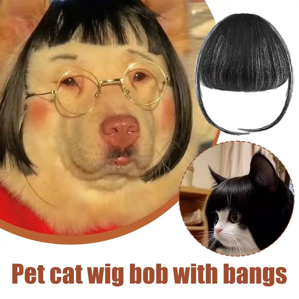 1/2PCS Cat Wig Accessories Dog Headdress Funny Costume Puppy Cosplay Dress up Cute Pet Wig Cosplay Funny Props Head Accessories