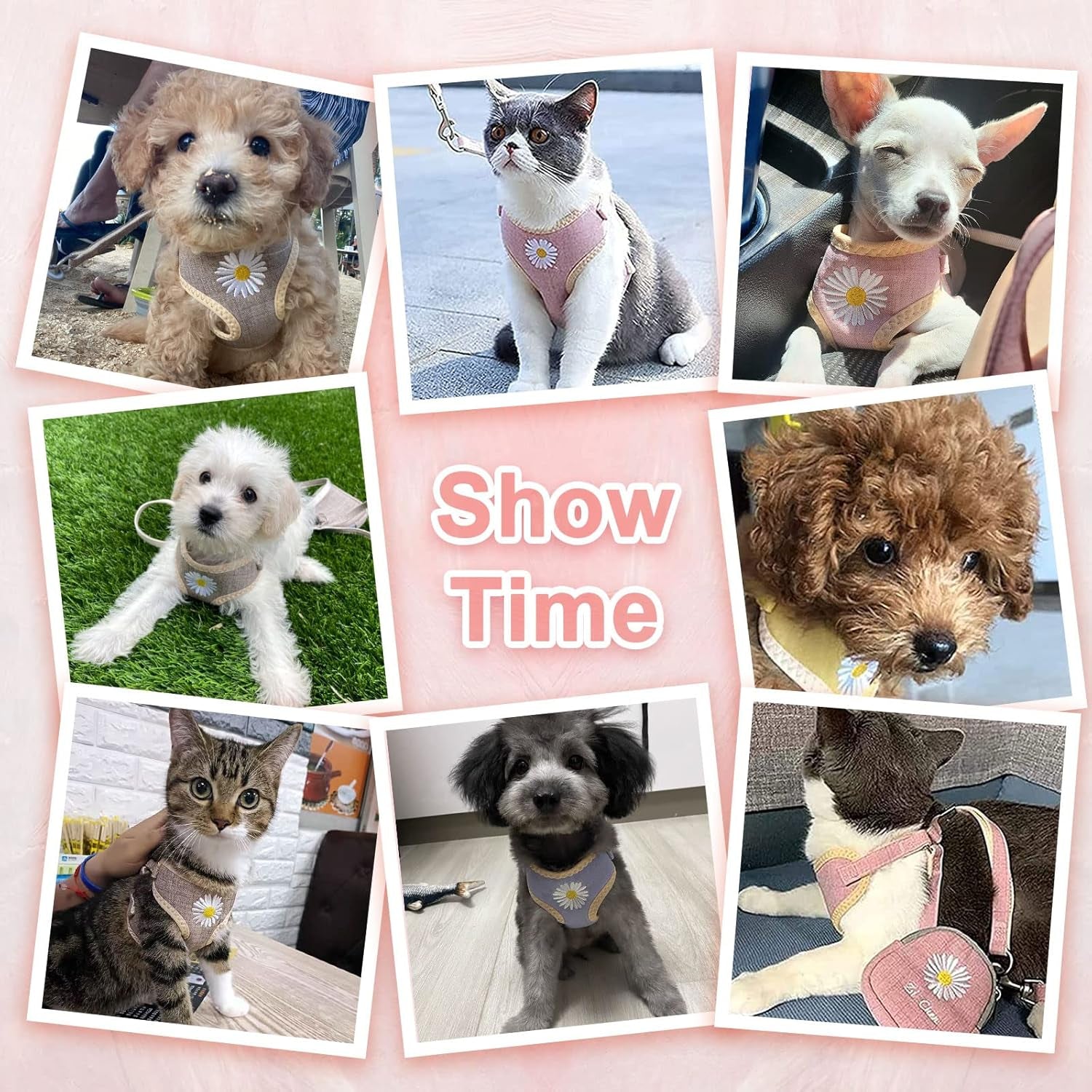Cute Dog Harness and Leash Set with Bags No Pull Daisy Vest Soft Breathable Mesh for Small Dogs Cats Spring Summer Yorkies Shih Tzu (Pink, Small)