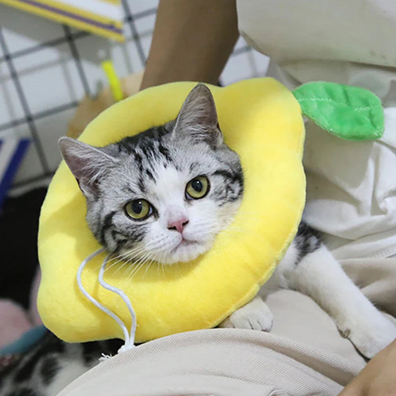 Soft Toast Avocado Shaped Cotton Pet Elizabethan Collar Dog Cat Adjustable Wound Healing Collar Prevent Bite Neck Ring for Pets
