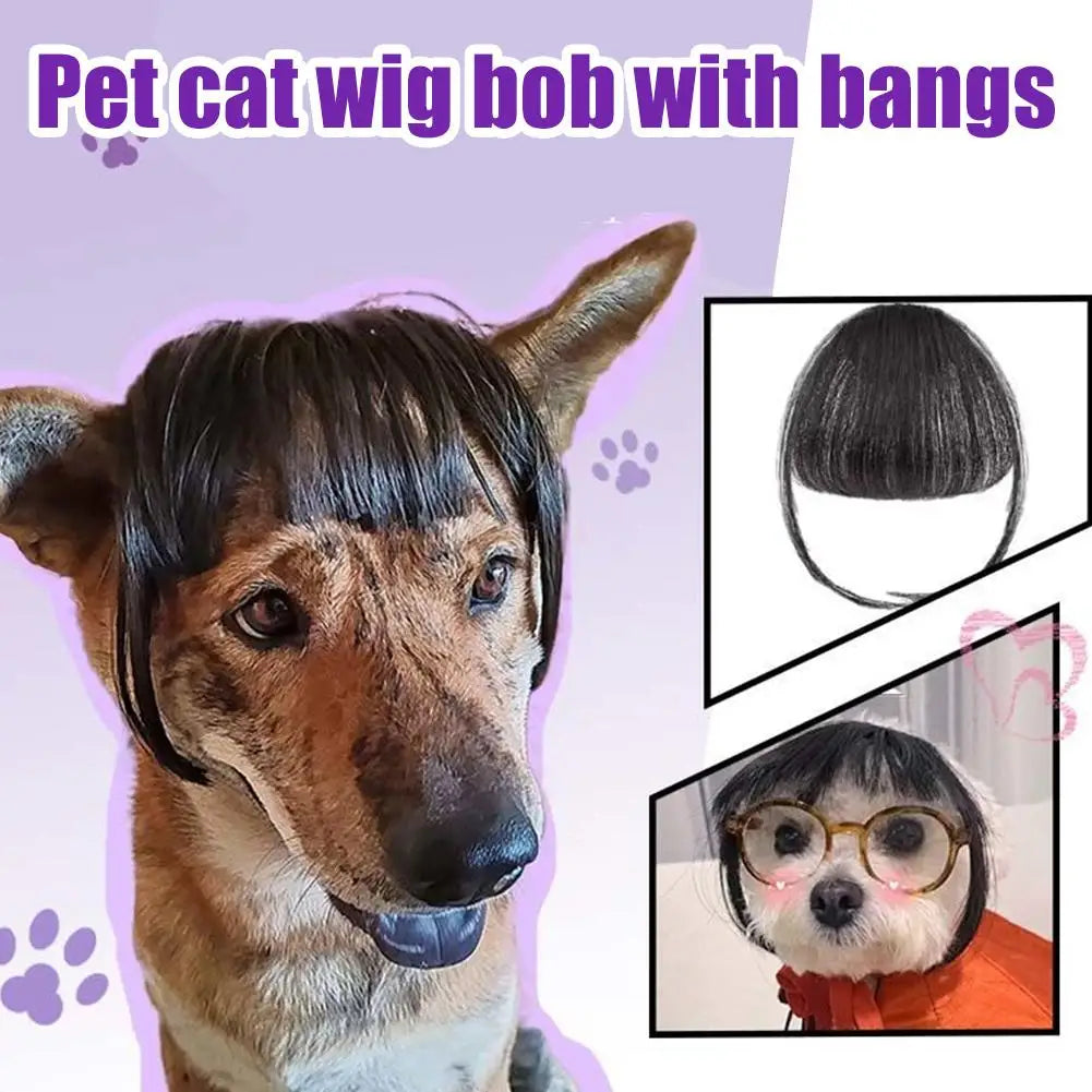 1/2PCS Cat Wig Accessories Dog Headdress Funny Costume Puppy Cosplay Dress up Cute Pet Wig Cosplay Funny Props Head Accessories