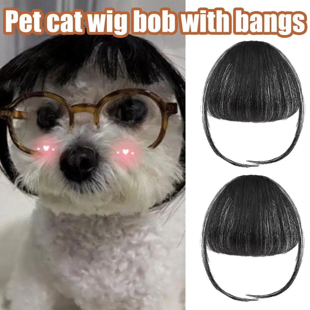 1/2PCS Cat Wig Accessories Dog Headdress Funny Costume Puppy Cosplay Dress up Cute Pet Wig Cosplay Funny Props Head Accessories