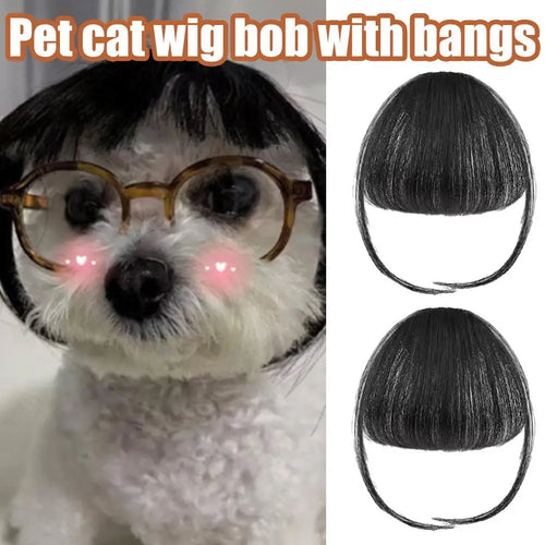 1/2PCS Cat Wig Accessories Dog Headdress Funny Costume Puppy Cosplay Dress up Cute Pet Wig Cosplay Funny Props Head Accessories