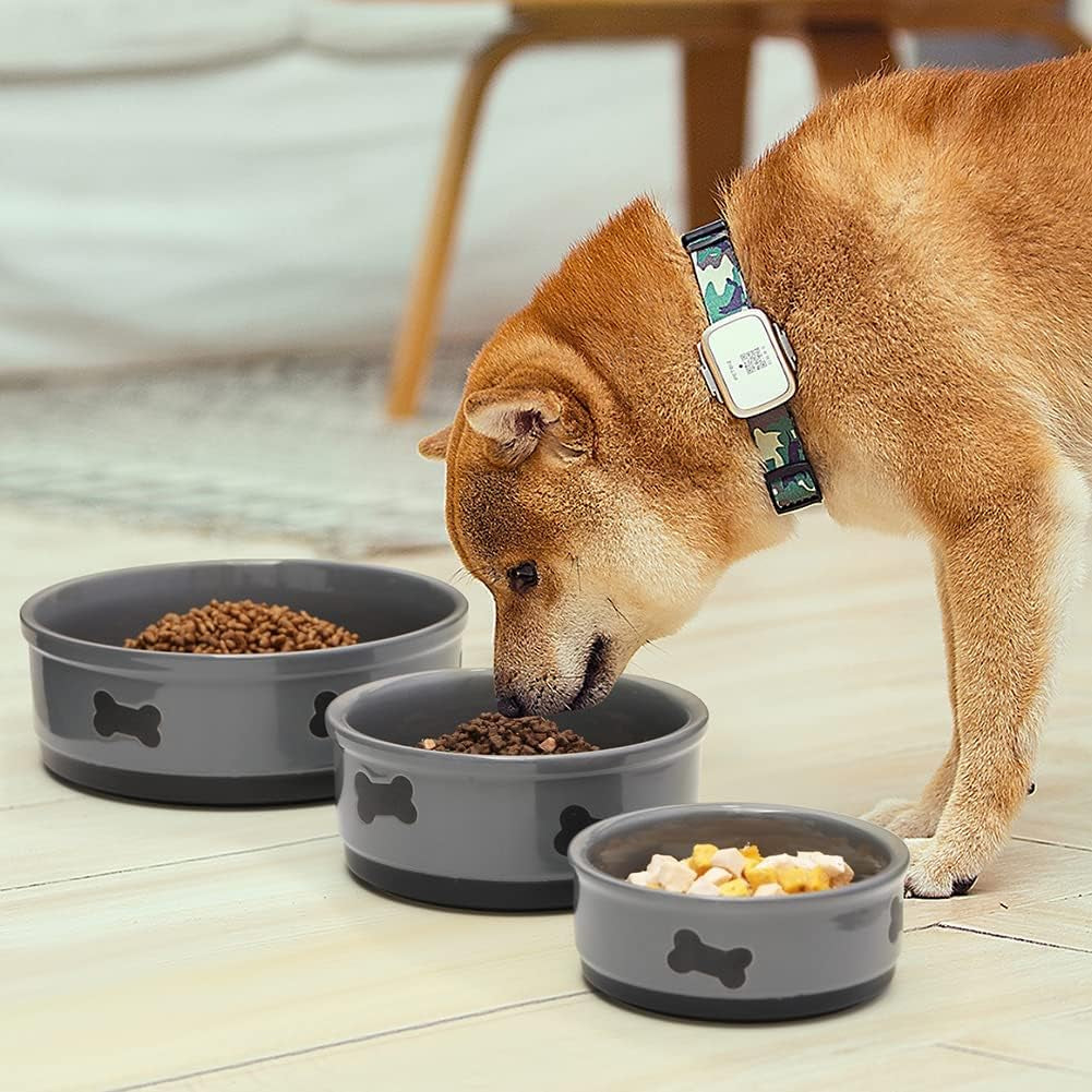 Ceramic Dog Bowls with Bone Pattern, Dog Food Dish for Small Dogs, Porcelain Pet Bowl for Water 16 Fl Oz (Gray)
